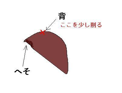 朝顔の種芽切り毎年 夏には朝顔でグリーンカーテンをつくっていま Yahoo 知恵袋