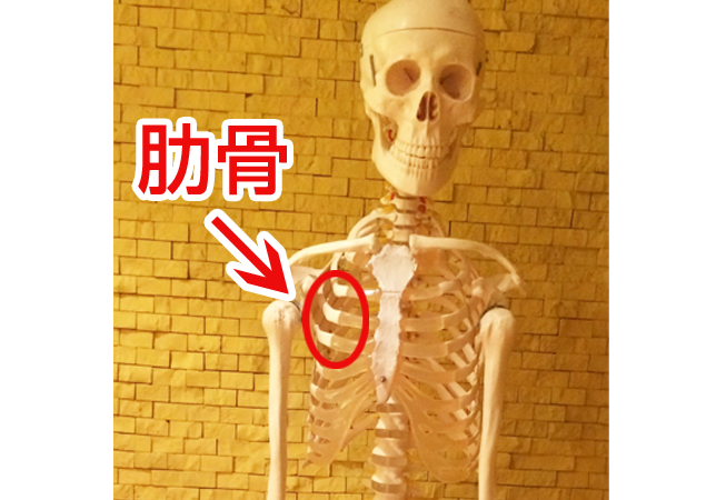 胸骨？が痛いです。 ぐっと胸を張るとバキって音がします。僕... Yahoo!知恵袋