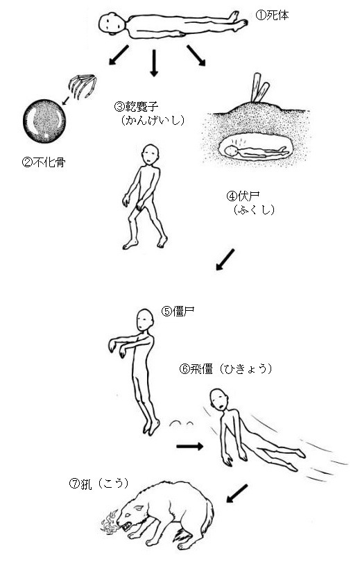 キョンシーの最上位種とされる屍尢について飛殭 フェイキョン 飛 Yahoo 知恵袋