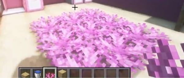 Minecraftで地上に軟質珊瑚を起きたいんですが何かいい方法は無いで Yahoo 知恵袋