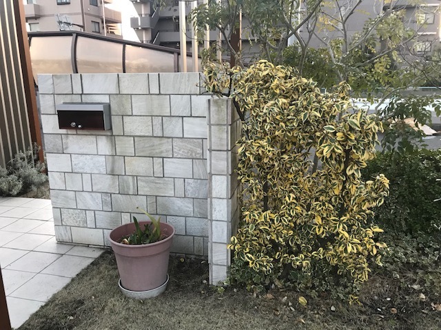 庭に植えるシンボルツリーについての質問です 以下の条件に合う Yahoo 知恵袋