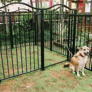 甲斐犬を庭で放し飼いにしたいのですが 柵はどのようなもので高さはどのくら Yahoo 知恵袋