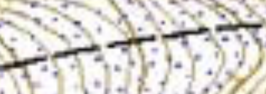 地図についてる この点々みたいのってなんですか 地図記号なんで Yahoo 知恵袋