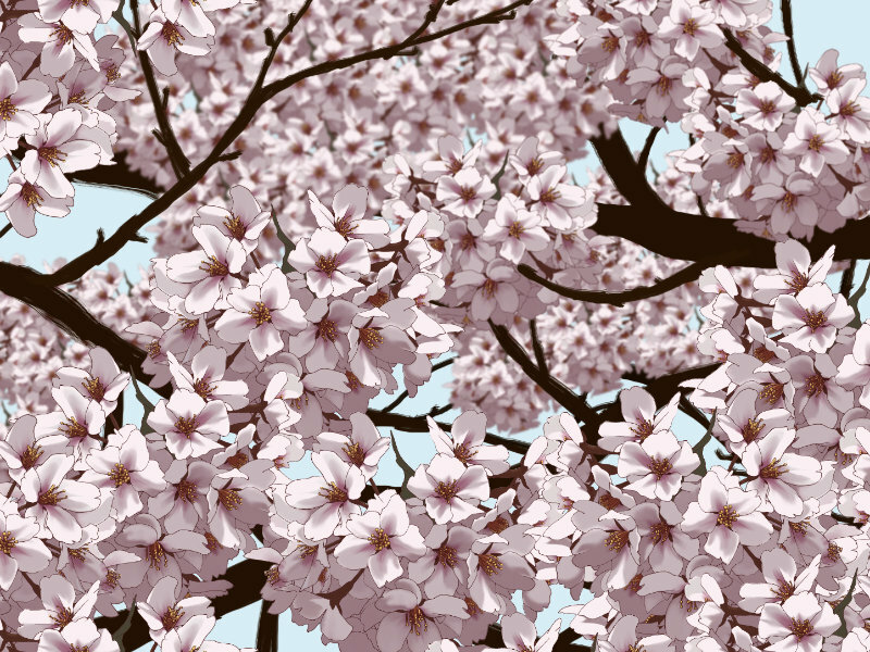 桜の絵はどうやって書けばいいでしょうか てきとうに描いても Yahoo 知恵袋