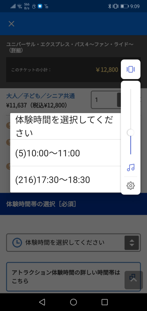 USJのエクスプレスをネットで購入したいのですが1枚ずつしか買 ...