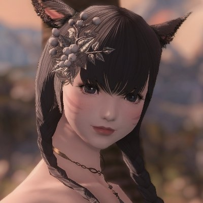 Ff14の頭装備で 銀色のヒイラギのような髪飾りはなんて名前ですか Yahoo 知恵袋