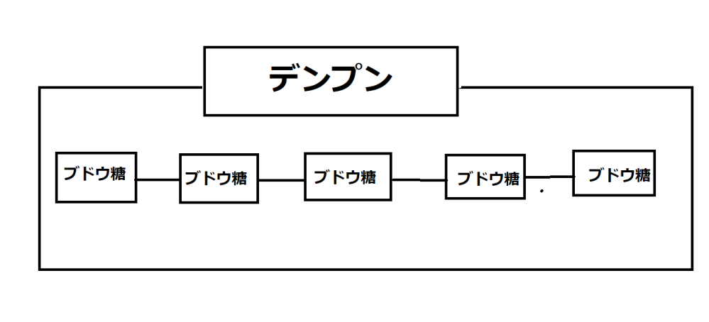 植物の呼吸全般 特に 光合成からのデンプンが どこで 分解され 糖ににな Yahoo 知恵袋