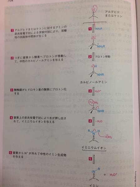 イミンの生成は可逆的である イミンと水の酸触媒反応 加水分解 によりアル Yahoo 知恵袋