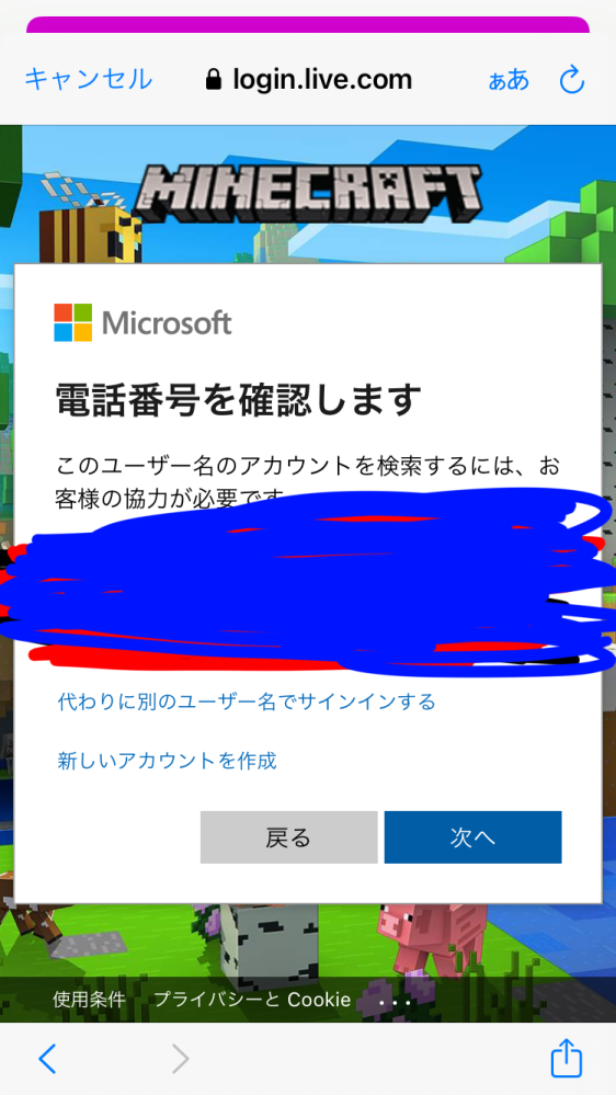 マイクラサインインするだけならお金かからないですか？（オンライ
