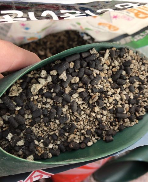 サボテン 多肉植物用のゴールデン粒状培養土を ゴムの木 の植え Yahoo 知恵袋