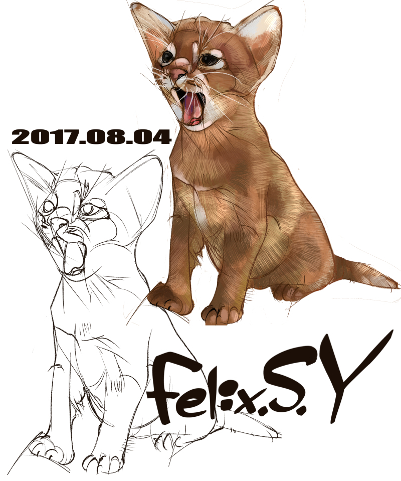 最近水彩画を始めました 白い犬を描こうとしたんですが 白い部分が Yahoo 知恵袋