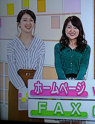 千葉美乃梨んと赤木野々花姫とどちらがむっちりしていますか Yahoo 知恵袋