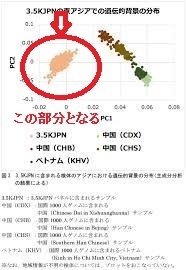 生粋の日本人っていい方があるようです これは どういう意味ですか Yahoo 知恵袋