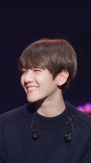 最小化する スマート 道徳 Exo ピアス Diez Pasarelas Com