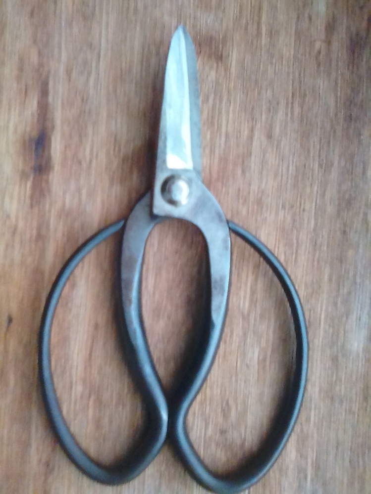 剪定ハサミの研ぎ方について質問です 剪定ハサミ 片手で持つタイプ を研いで Yahoo 知恵袋