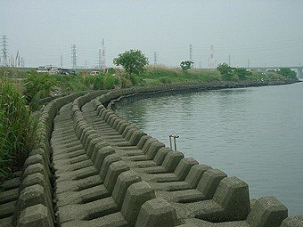 昨日 埼玉の別所沼公園に手長エビを釣りに行ったのですが２ ３センチぐらいの Yahoo 知恵袋