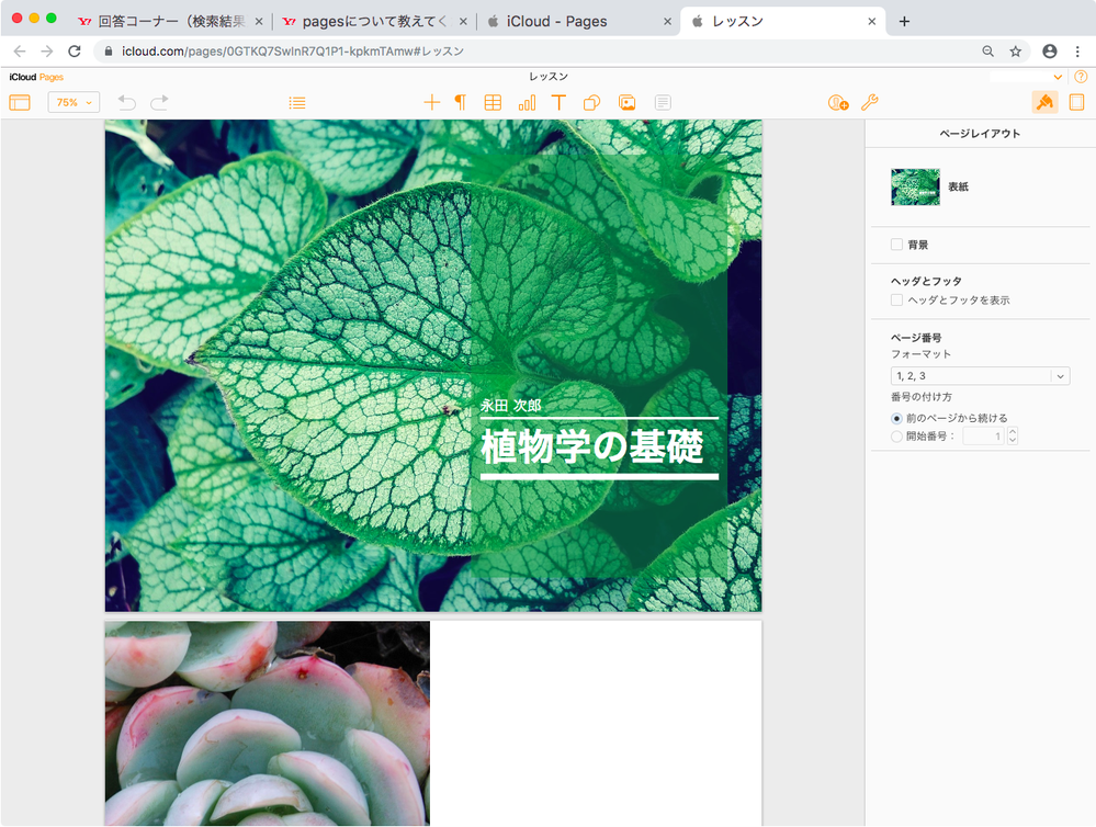 pagesについて教えてください。私のiMacが2009年製で、 - Yahoo!知恵袋