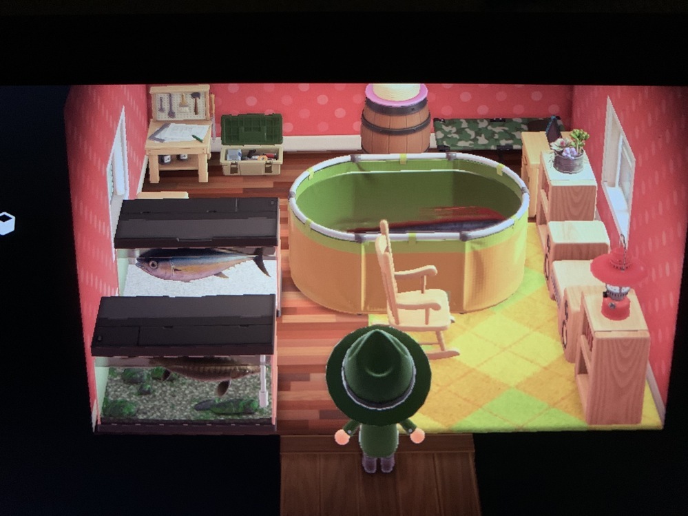 [無料ダウンロード！ √] とび 森 ゴキブリ 117916とび 森 ゴキブリ Gambarsaefwb