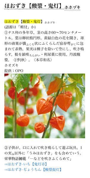 ほほづき ほおずき の一つの花のこぼれたる富安風生 とみやすふう Yahoo 知恵袋