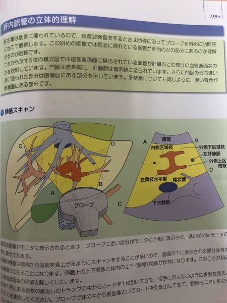 エコー 超音波 検査に関する勉強について 私は今 検査学科4年生 Yahoo 知恵袋