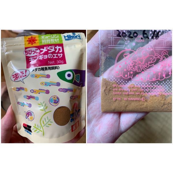 メダカの針子 稚魚について教えてください メダカの稚魚が3 Yahoo 知恵袋