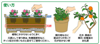 馬鈴薯の種芋植え付け時に鶏糞肥料をやってしまったことでお世話になったもので Yahoo 知恵袋