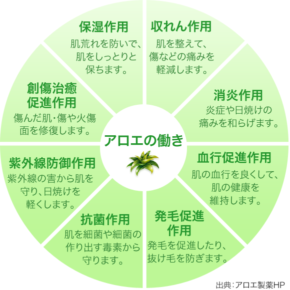 ハゲてきたのではないか気になります 元々 髪も太い方ではな Yahoo 知恵袋