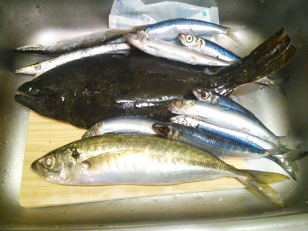 サビキ餌なし大遠投 タダ巻きで何か釣れますか Yahoo 知恵袋