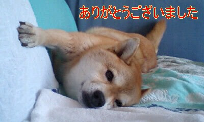 タイトルや歌詞に 父 母 の両親共 入る歌を 教えて下さい Yahoo 知恵袋