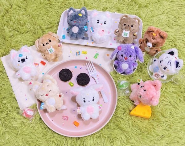 マルチボーダーシリーズ THE BOYZ ドボイズ キュー ニュー セット