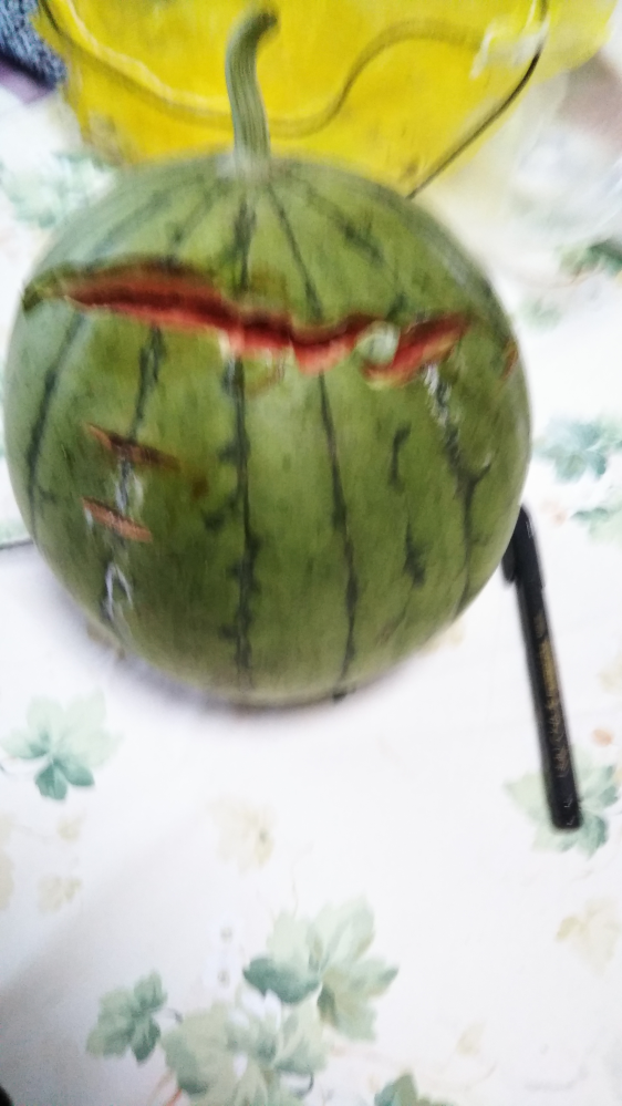 小玉スイカのツルの切断について 家庭菜園1年目です 2番目にできた Yahoo 知恵袋