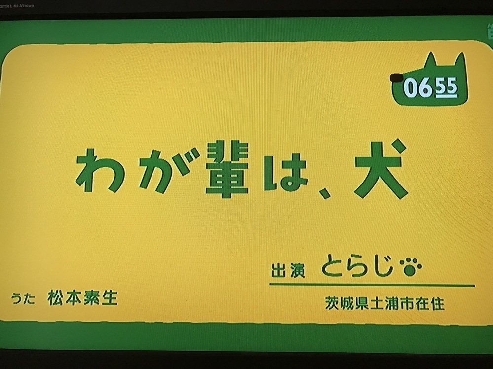 9月16日 金 放送の 0655 を見ましたが よんきびう隊 Yahoo 知恵袋