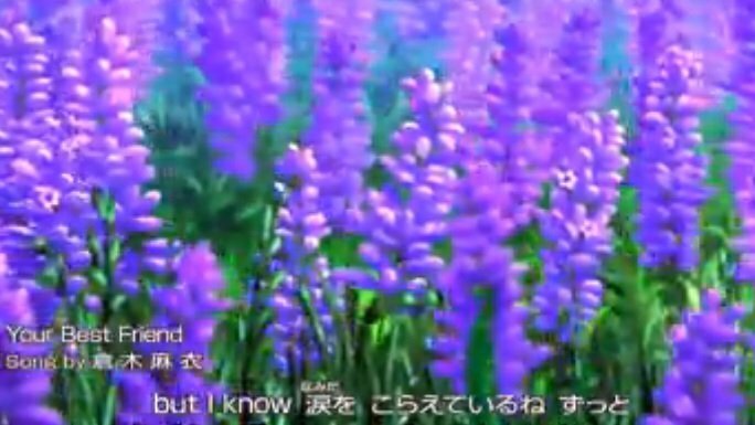 名探偵コナンのアニメのエンディングで アヤメ の花畑を小さいときの Yahoo 知恵袋