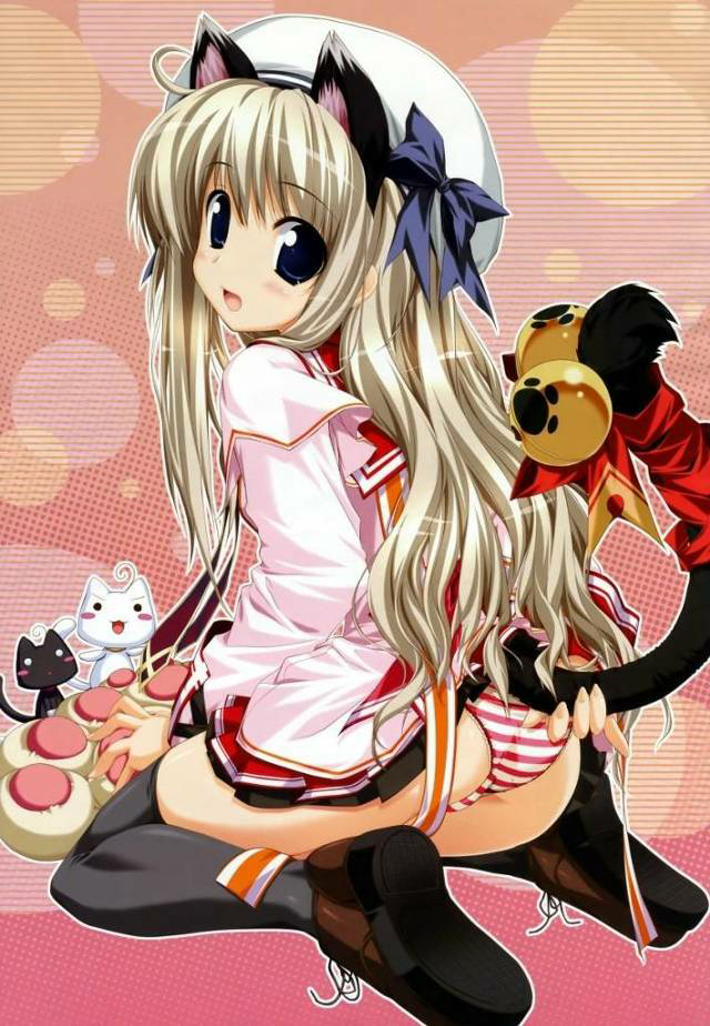 どおして猫耳の女の子は尻尾にリボンとか鈴とかをつけるのが好きなのか Yahoo 知恵袋