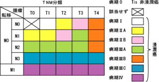 北斗晶さんは 癌のステージは 何ですか 今日 報道された番組 Yahoo 知恵袋