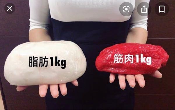 同じ身長 同じ体重でも見た目が太って見える人と痩せて見える人の差ってなんです Yahoo 知恵袋