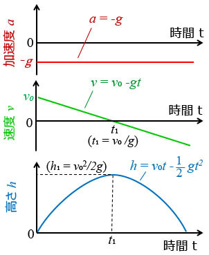 高校物理基礎の質問です 鉛直投げあげ運動の加速度なのですが 上に投げあげてか Yahoo 知恵袋