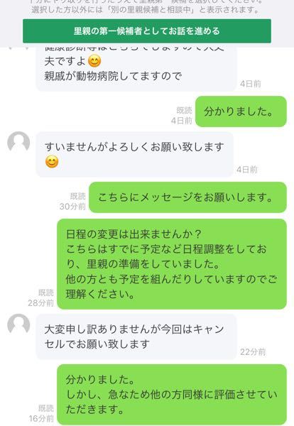 ジモティーのサイトで野良猫の里親募集をしました。 - 親子です。3 