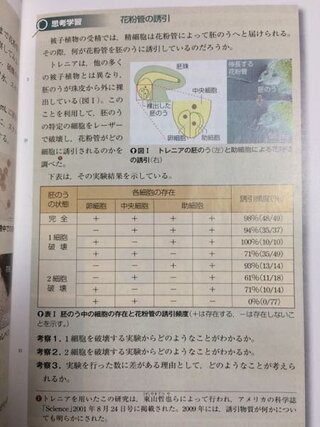 高校生物 花粉管の誘引についてです トレニアを用いて行った東 Yahoo 知恵袋