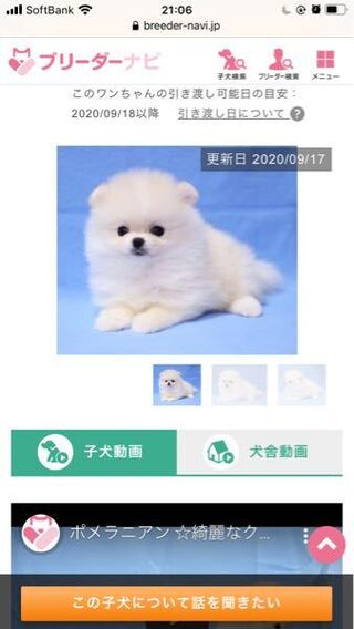 犬でも可愛い顔の犬は値段高いのですか Yahoo 知恵袋