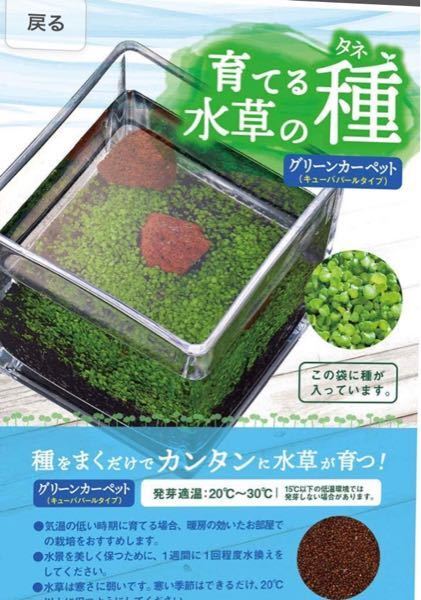 イモリの水槽に 水草の種で草原を作りたいのですが フンが見 Yahoo 知恵袋