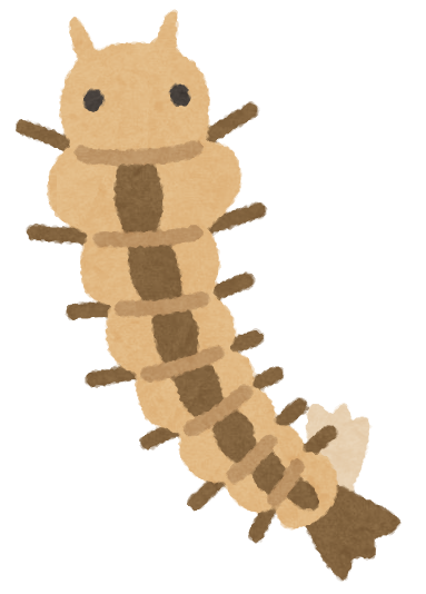 蚊の幼虫である ぼうふら を見たことありますか ｂ１ 見たことがあ Yahoo 知恵袋