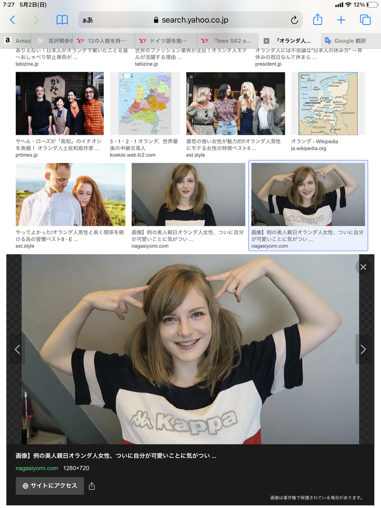 オランダまで ゴッホの絵 観に行かない って誘われたら どうします Yahoo 知恵袋