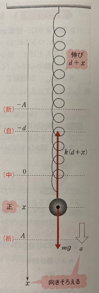 物理単振動 鉛直ばね振り子について位置x 伸びx D の時の加速度 Yahoo 知恵袋