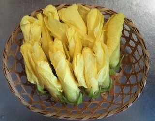 お野菜を何種類かいただいたのですが くださった方も何なのかわからないお野菜が Yahoo 知恵袋