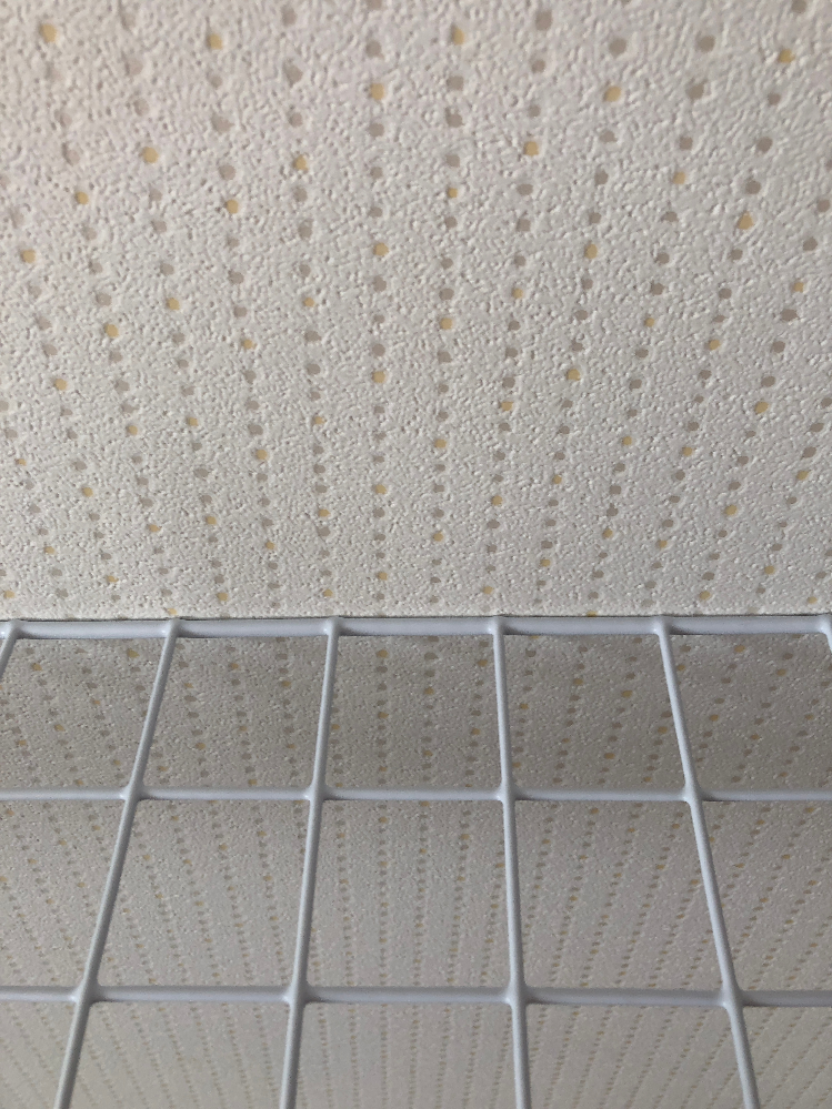 セリアのワイヤーネットを写真のように垂直につけたいのですが100均 Yahoo 知恵袋