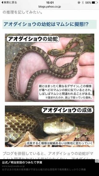 蛇に詳しい方 お願いします これはマムシですか 子供達が多い公園で見つけまし Yahoo 知恵袋