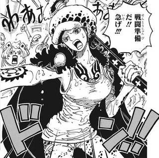 至急！！！！ワンピースのローの女体化は何巻で見れますか