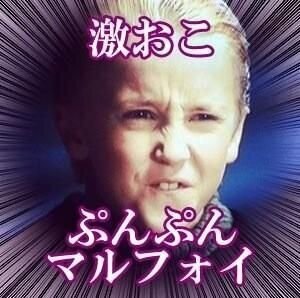 ホームレスにハゲは居ない って話を岡田としおがしていたので 要す Yahoo 知恵袋