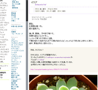 名札のラベルプリント機について教えて下さい 色々な植物を育てています 品種 Yahoo 知恵袋